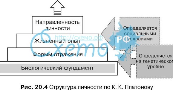 Структура личности платонов схема