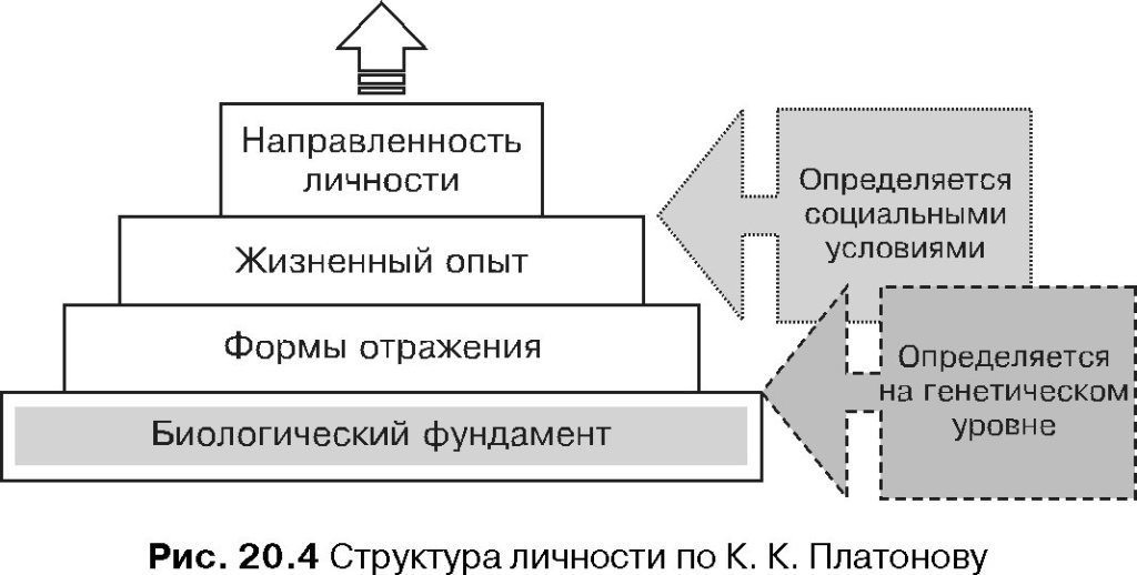 Структура личности платонов схема