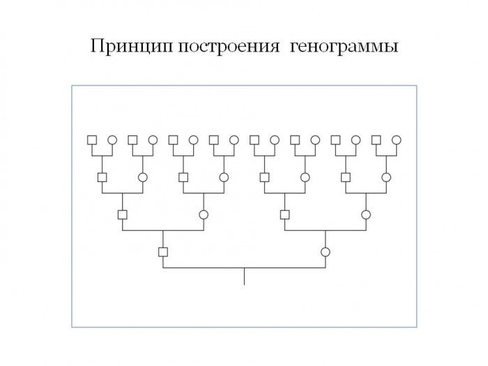 Генограмма семьи схема