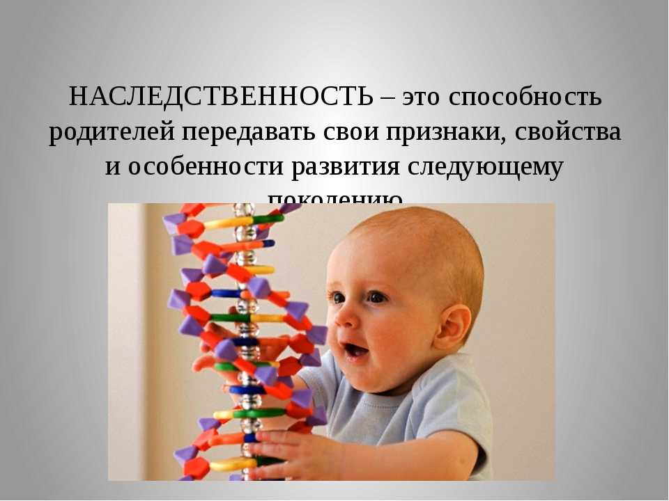 Особенности наследственных факторов. Наследственность. Наследственность человека. Генетические факторы ребенок. Воспитание и наследственность.