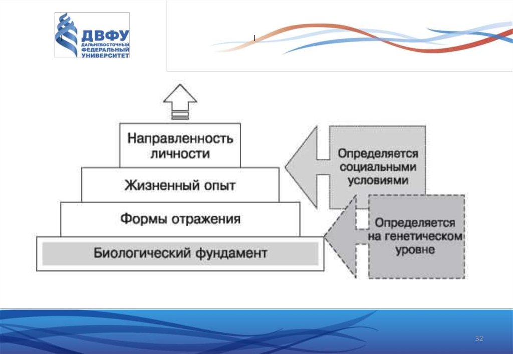 Структура личности платонов схема