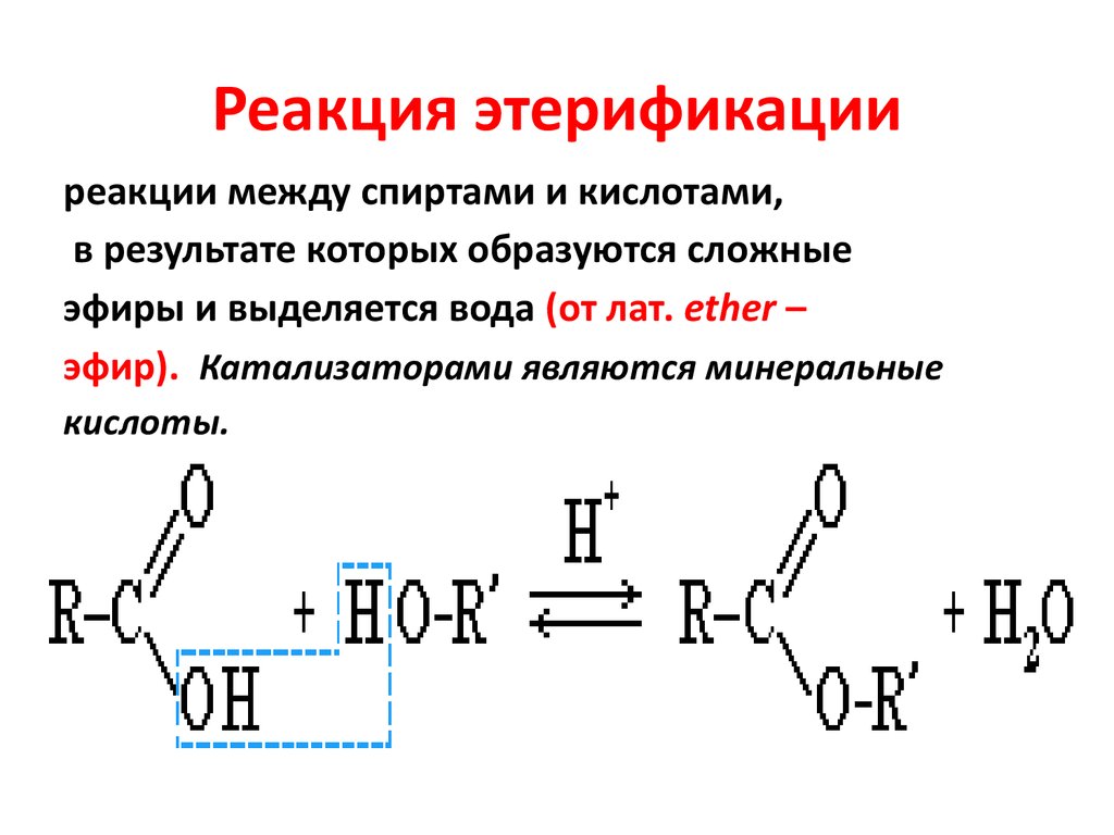 Презентация сложные эфиры и жиры 10 класс габриелян