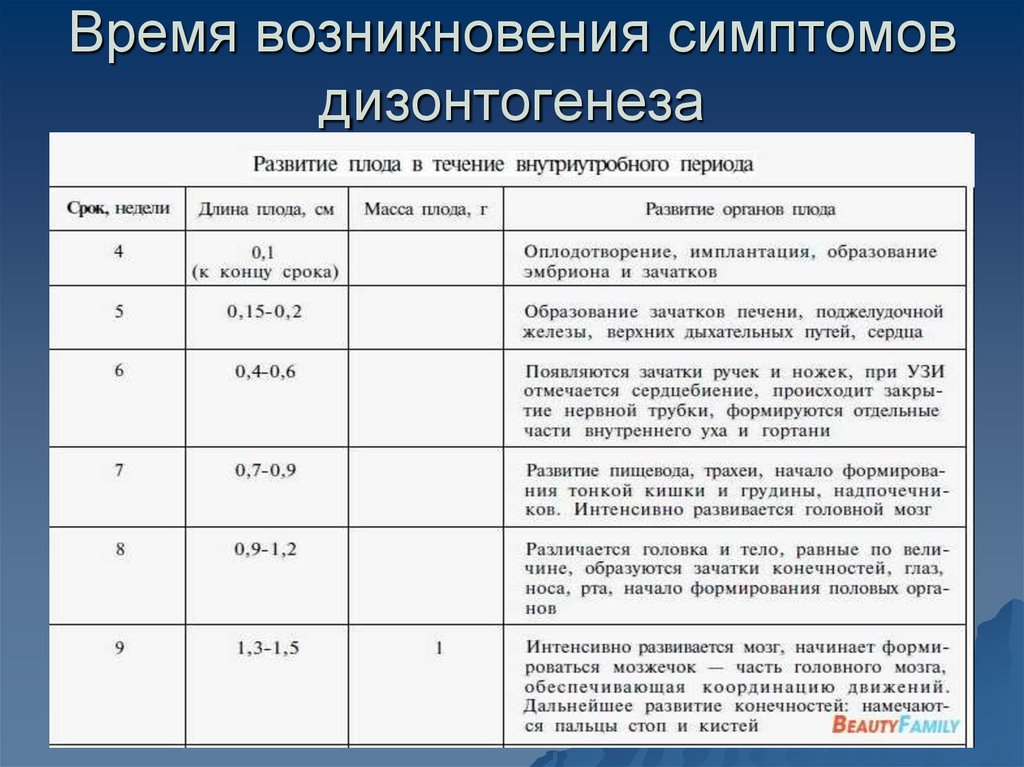 Схема этапов развития речи в онтогенезе у человека физиология