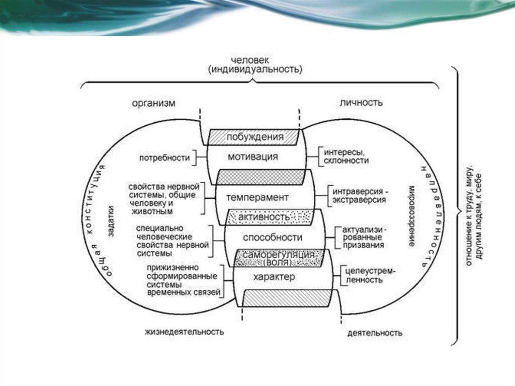 Система личности. Соотношение понятий темперамент характер личность. Потенциал человека как индивида и как личности схема. Структура индивидуальности человека схема. Характер, темперамент, способности личности..