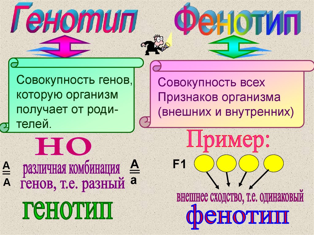 Совокупность внешних и внутренних признаков организма