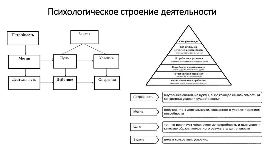 Психологическая структура деятельности а.н. Леонтьева.. Строение деятельности по Леонтьеву. Социальная активность структура