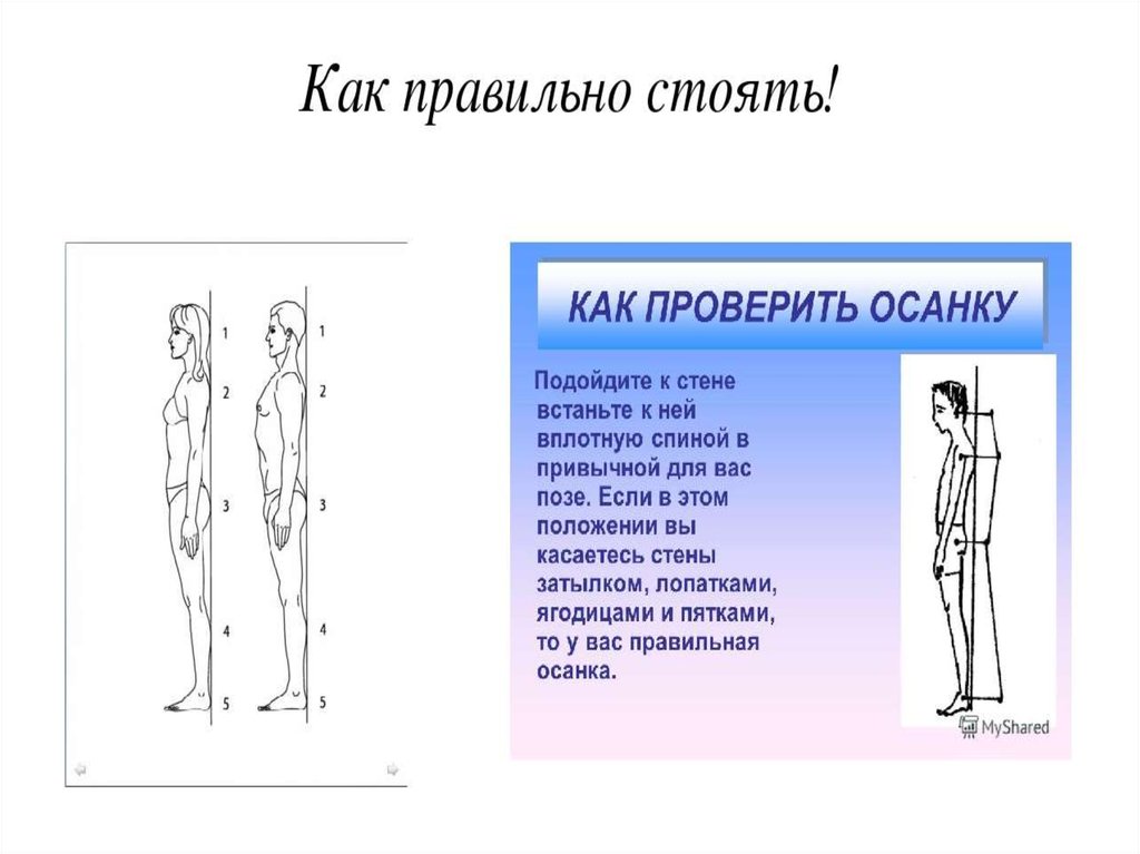 Значение правильной осанки в жизни человека проект