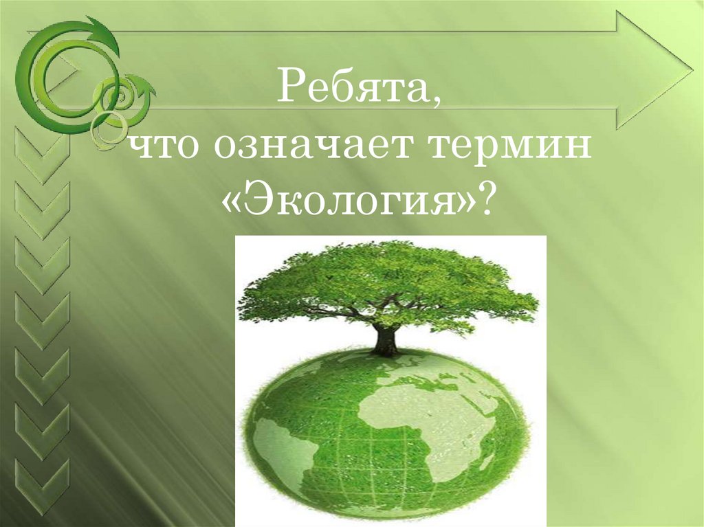 Экология и ее значение 9 класс. Экология презентация. Презентация на экологическую тему. Презентация на тему экология. Экологический урок.