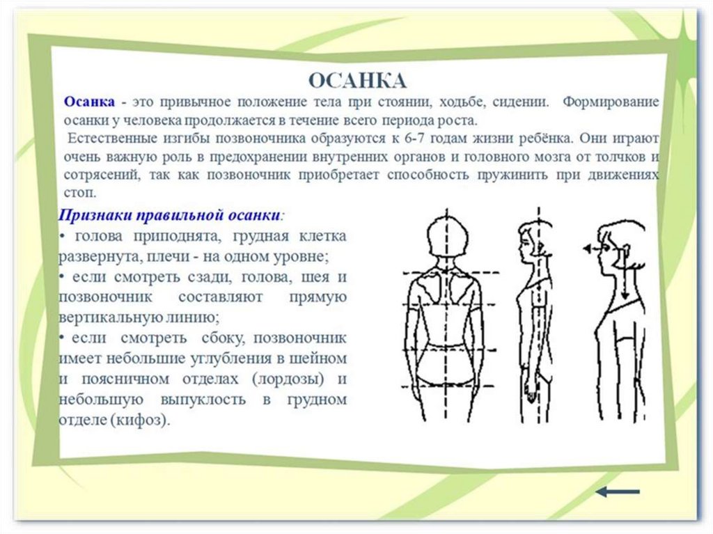 Значение правильной осанки в жизни человека проект