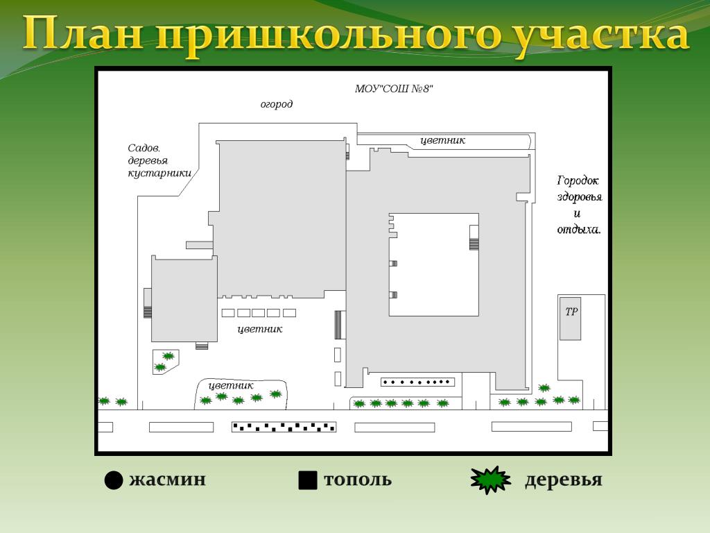 План школы номер 51