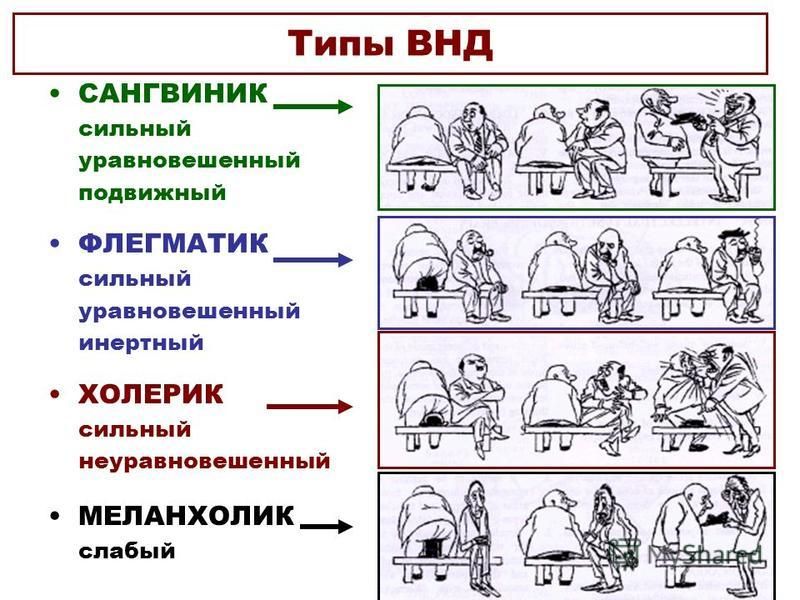 Рассмотрите рисунок карикатуру х бидструпа темперамент назовите тип темперамента человека