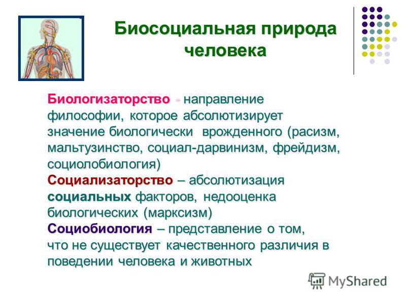 Природа человека в философии. Биосоциальная природа человека. Биологизаторство и Социологизаторство в философии. Концепции сущности человека. Биосоциальная природа человека философия.