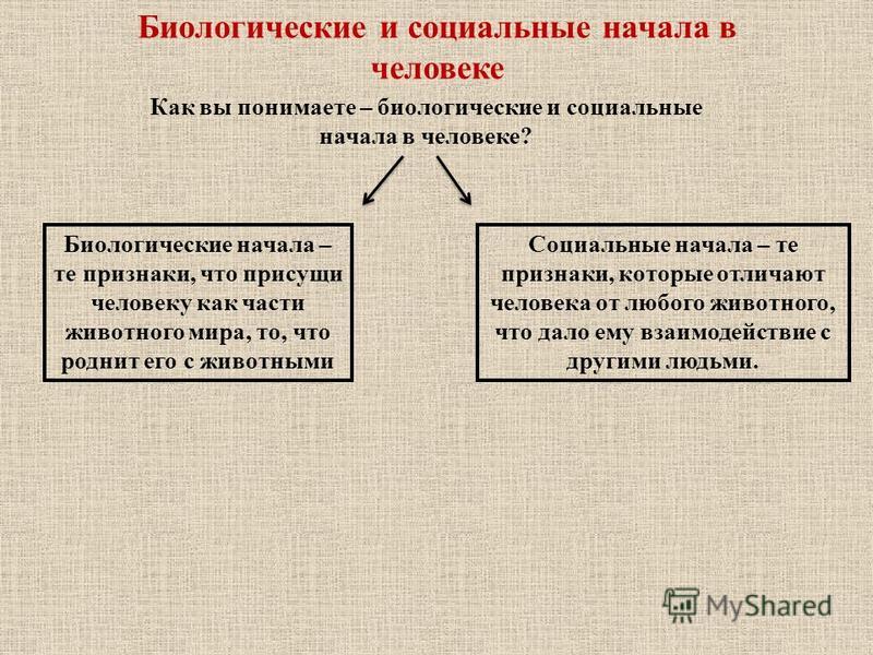 Презентация биологическое и социальное в человеке огэ обществознание