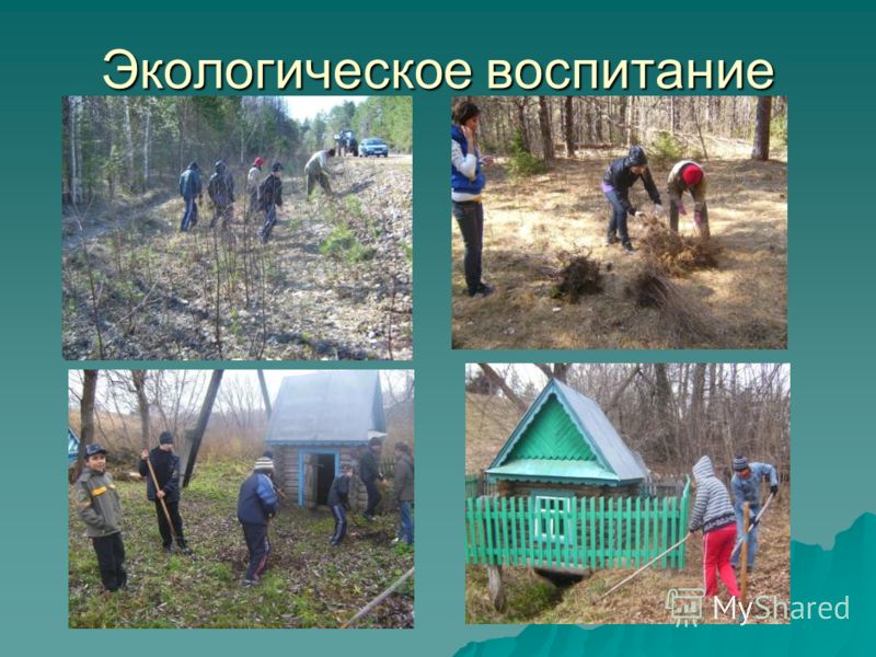 Экологическое воспитание школьников. Экологическое природоохранное воспитание. Кл.час экологическое воспитание. Экологическое воспитание граждан. Экономическое и экологическое воспитание.