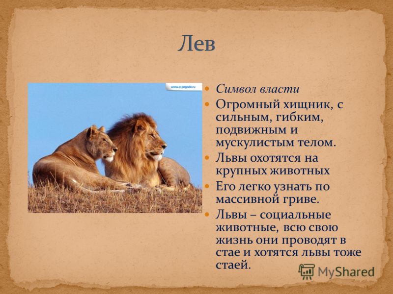 Левой левой текст