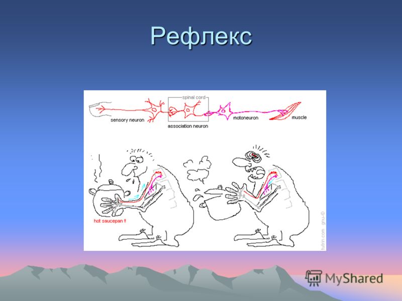 Рефлекторный рисунок. Рефлекс на объекте. Рефлекс это в искусстве. Рефлекс Графика. Рисунки на тему рефлекс.