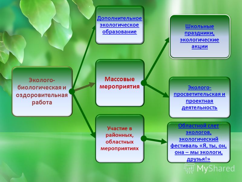 Экологическое воспитание план мероприятий