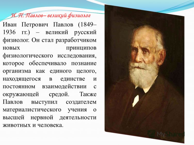 Иван петрович павлов презентация по биологии