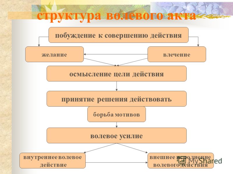 Заполните схему сложного волевого действия