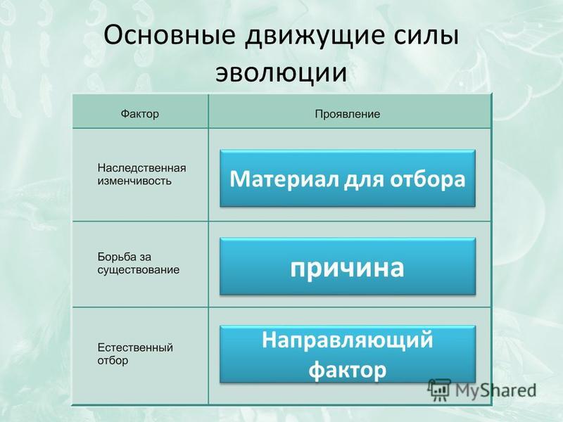 Движущие силы эволюции живой природы