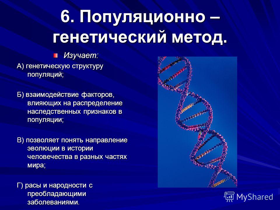 Где находится генетический материал. Популяционно-генетический метод. Популяционно-генетические исследования. Популяционно генетический метод генетики человека. Популяционно-генетический метод изучения генетики человека.