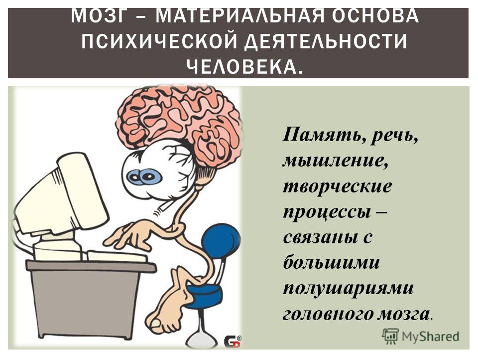 Память мышление речь. Мозг мышление речь. Психическая деятельность человека. Память речь мышление.