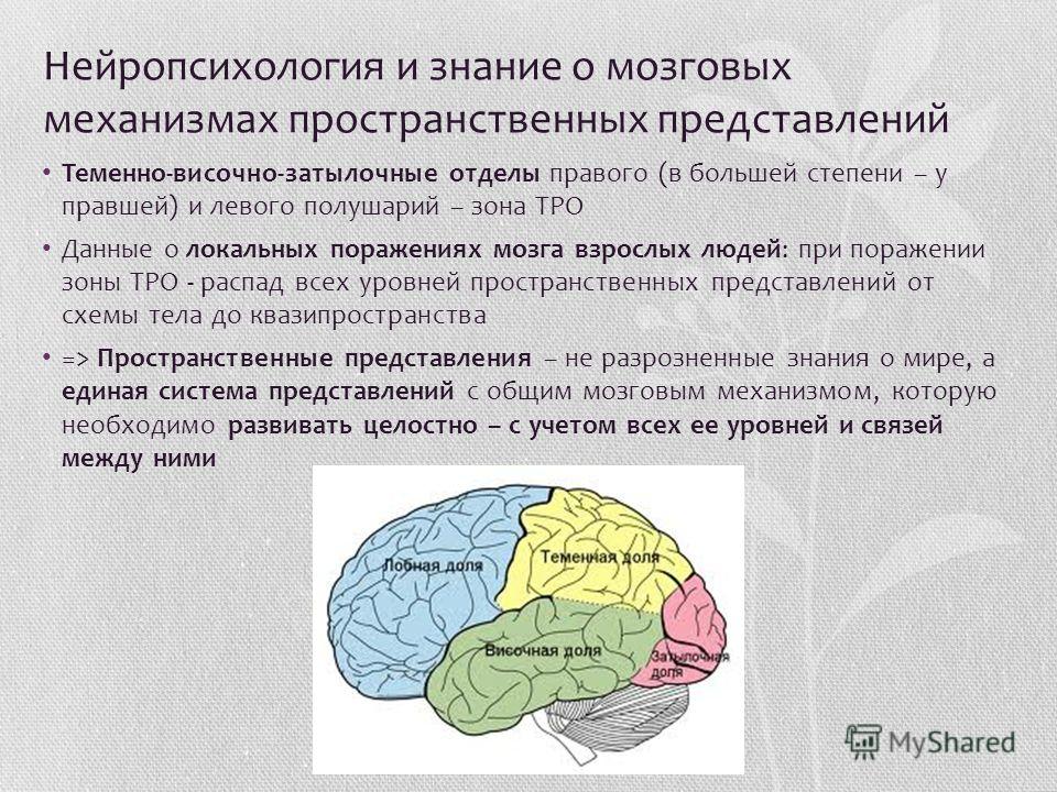 Нарушение схемы тела возникает при патологическом процессе в полушария