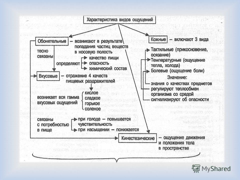 Примеры ощущений в психологии. Характеристика видов ощущений. Характеристика основных видов ощущений. Схема виды ощущений. Основные свойства ощущений.