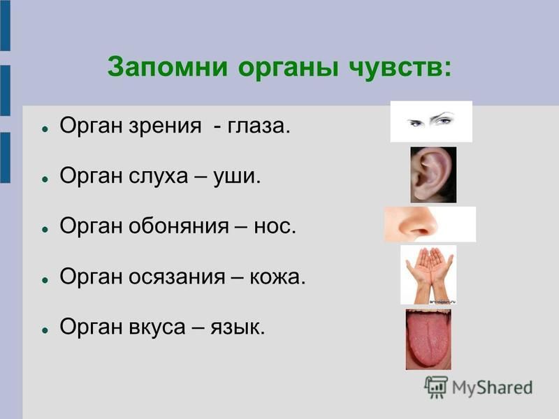 Одно из чувств человека которое испытывает наибольшую нагрузку при работе с компьютером