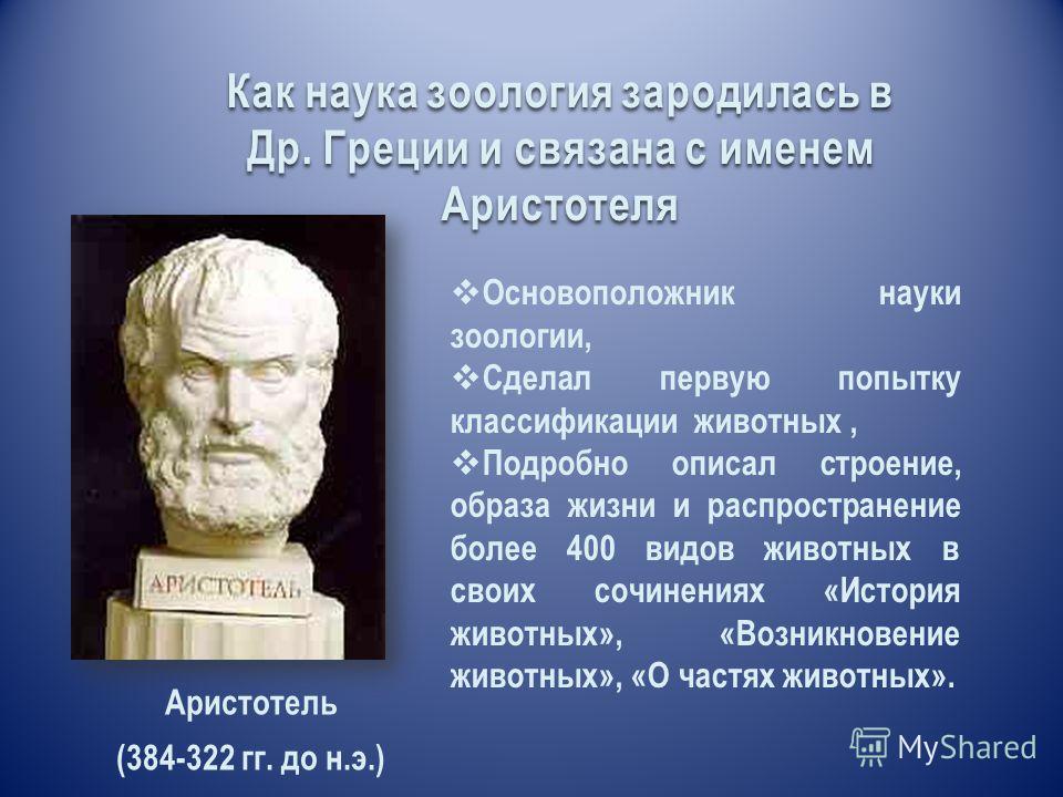 Особенности философии аристотеля. Аристотель основоположник зоологии. Аристотель вклад в анатомию. Аристотель открытие в анатомии. История становления и развития науки Зоология.