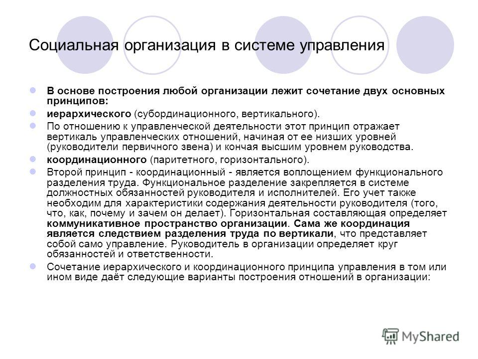 Примеры субординации: что это простыми словами, примеры, значение — Общие дети, г. Воронеж