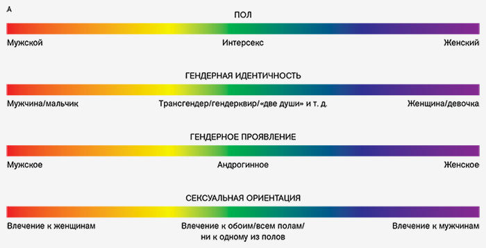 Ориентация когда никто не нравится в плане любви