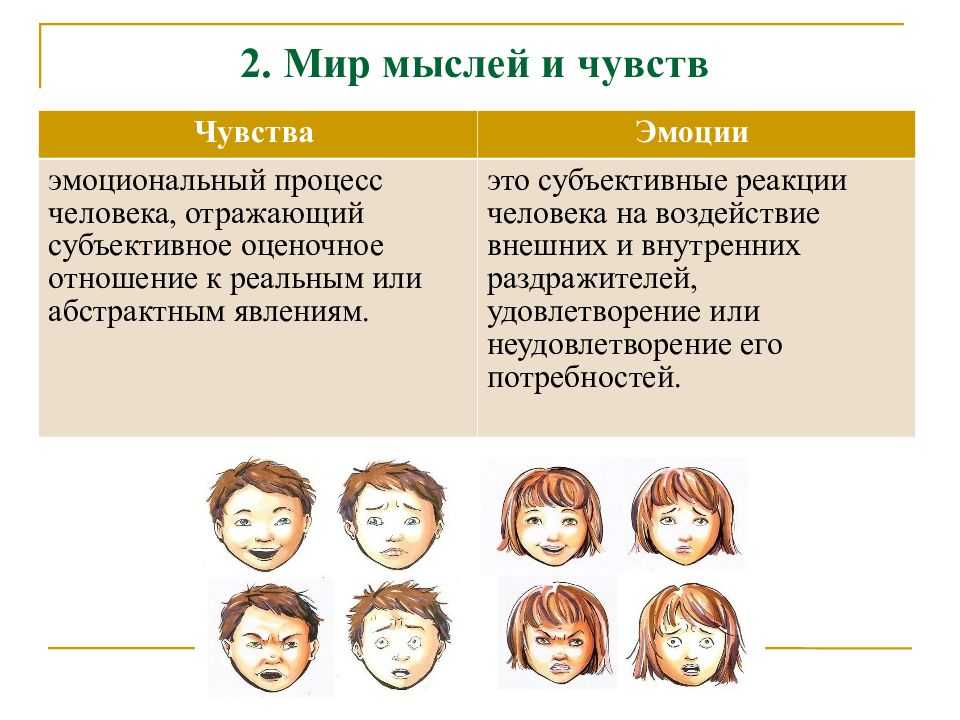 Презентация на тему эмоции и чувства