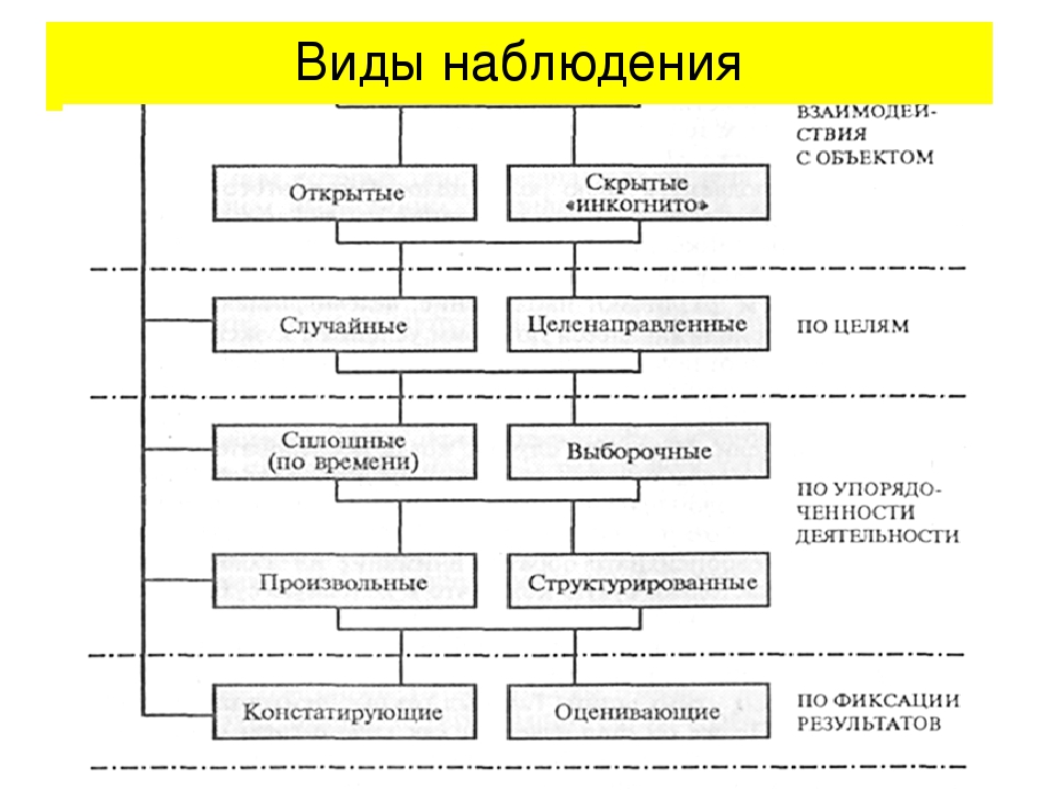 Схема наблюдения в психологии пример