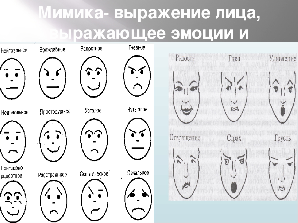 Тест эмоции человека. Мимика лица в схемах. Выражения лица эмоции. Эмоции и выражения лица человека. Различные выражения лица.
