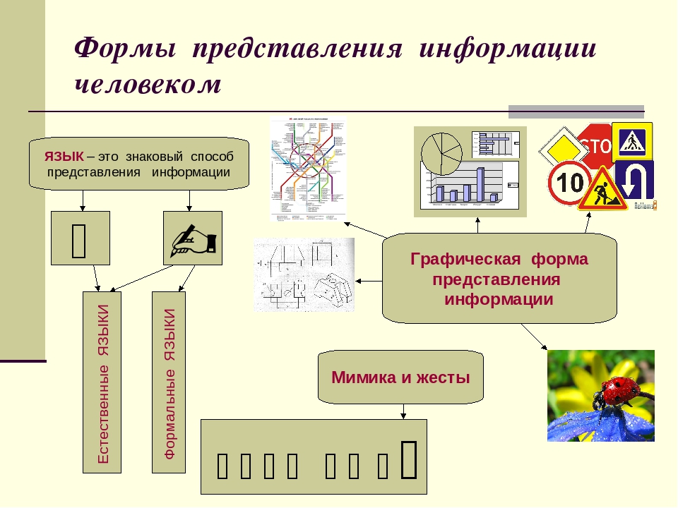 Формы представления данных. Формы представления информации. Различные формы представления информации. Способы представления графической информации. Формы предоставления информации в информатике.