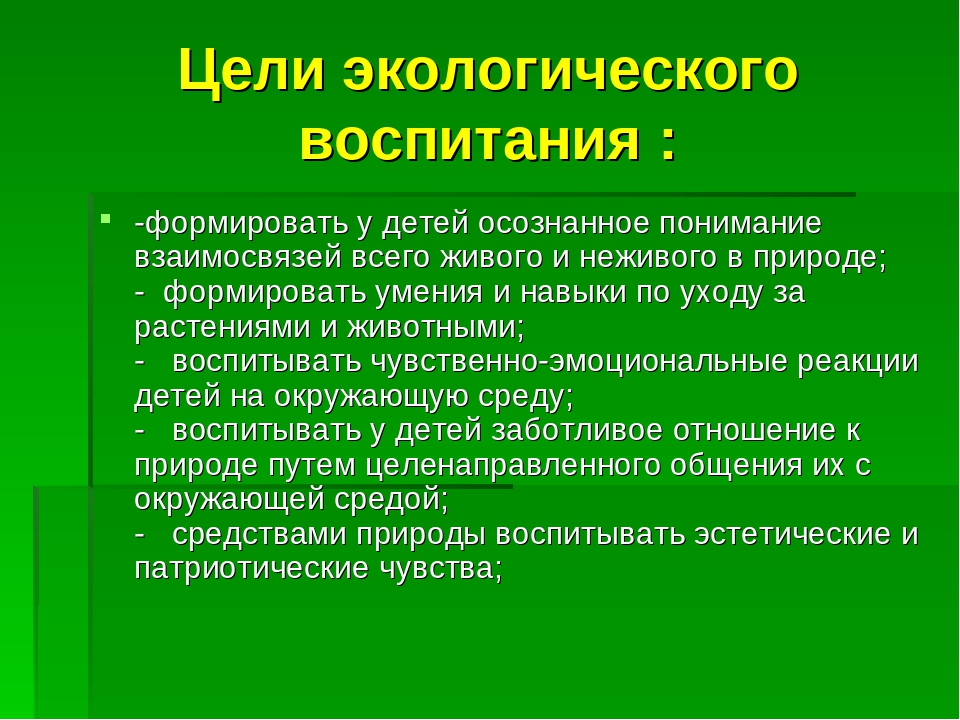 Ценностные приоритеты патриотического воспитания учащихся в современной школе план самообразования