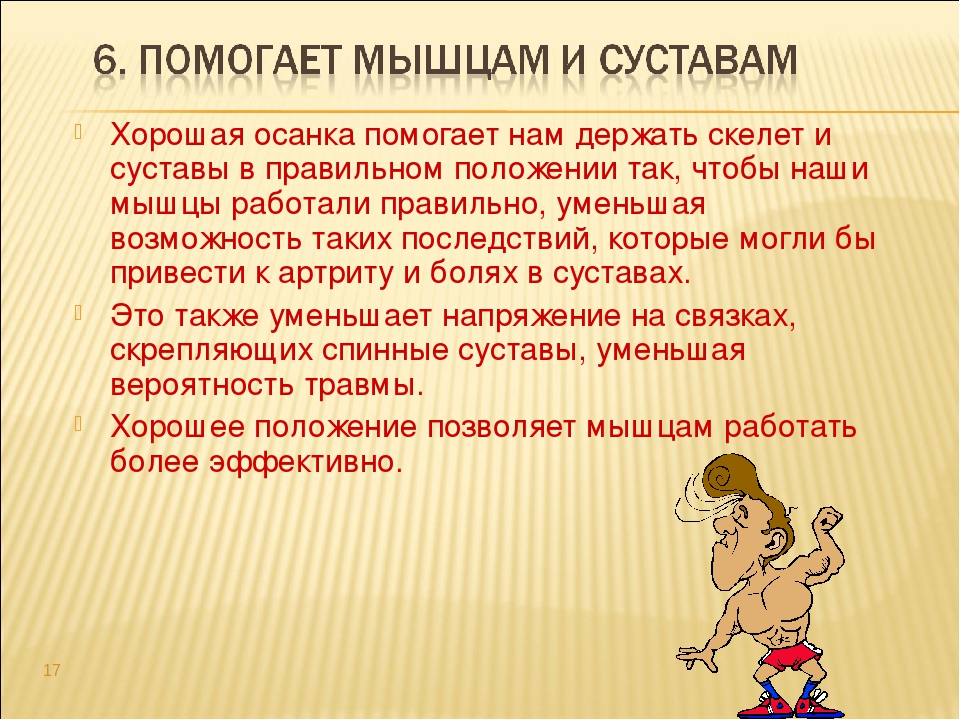 Мышцы осанки. Значимость осанки. Важность правильной осанки. Значение правильной осанки для здоровья человека. Значение правильной осанки в жизнедеятельности человека.