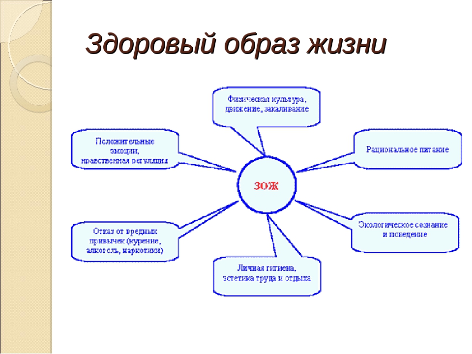 Зож включает. Здоровый образ жизни схема. Кластер ЗОЖ. Схемы по ЗОЖ. Кластер на тему здоровый образ жизни.