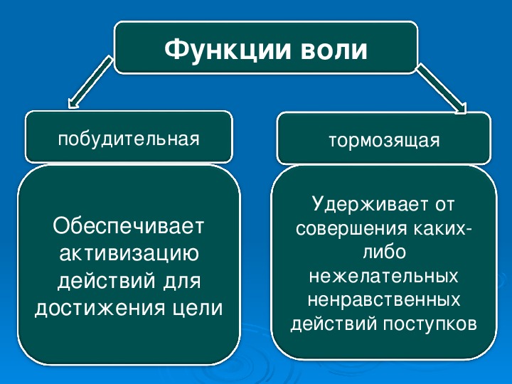 Волевые действия презентация