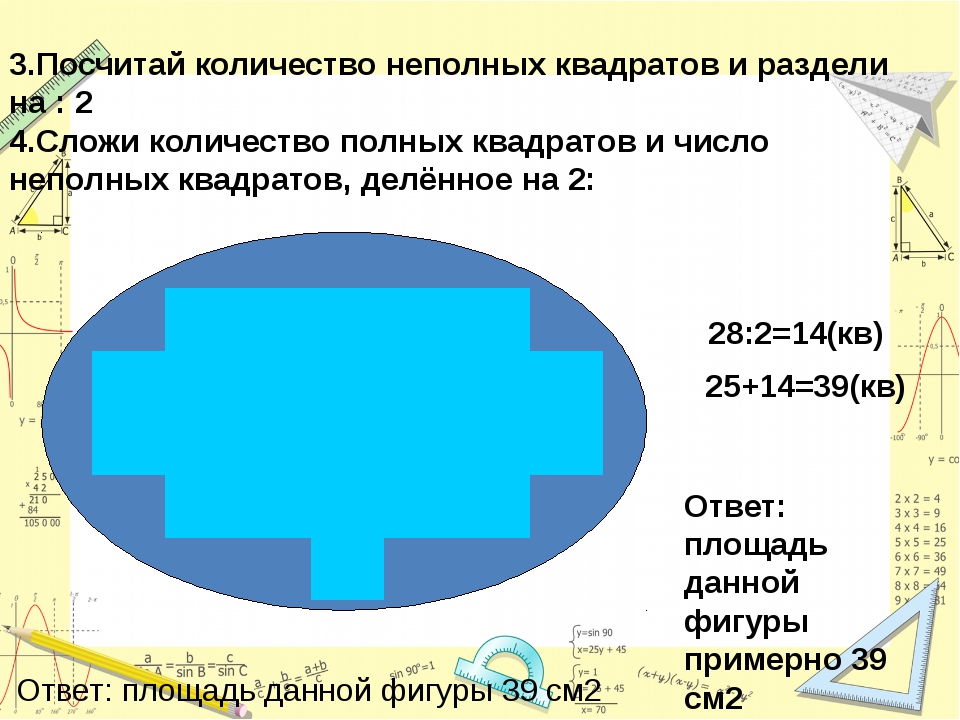 Измерение площади с помощью палетки 4 класс пнш презентация