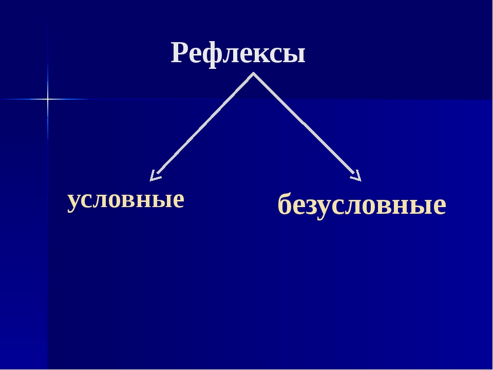 Условные рефлексы являются. Условные и безусловные рефлексы. Условие и безуслоаие рефлекции. Условны безусловные рефлек. Условный рефлекс и безусловный рефлекс.