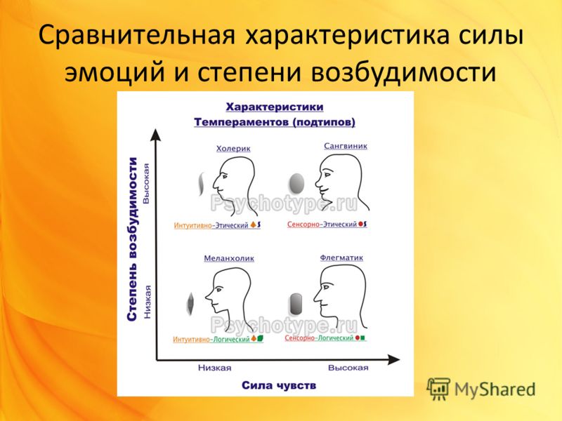 2 связаны ли темпераментальные особенности человека с его мотивацией