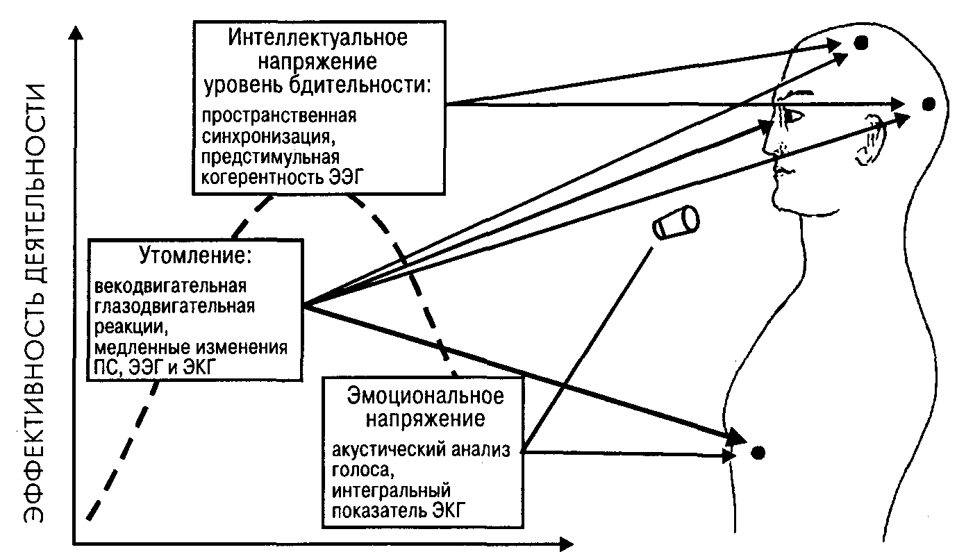 Динамический процесс физиологического и психологического плана управляющий поведением человека