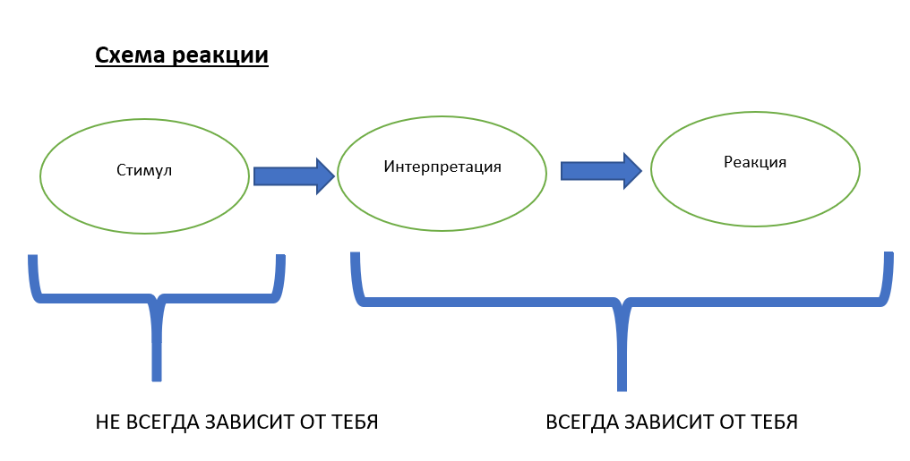 Д мид схема поведения