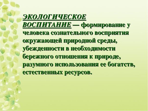 Экологическое воспитание школьников презентация