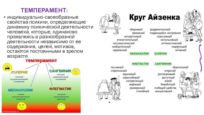 2 связаны ли темпераментальные особенности человека с его мотивацией