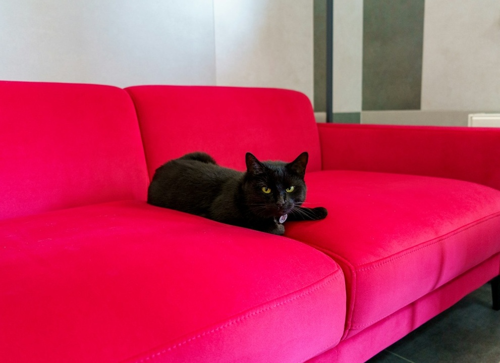 Стоит ли покупать квартиру с мебелью: плюсы и минусы